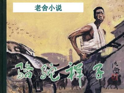 深入了解 糖心Logo官网入口